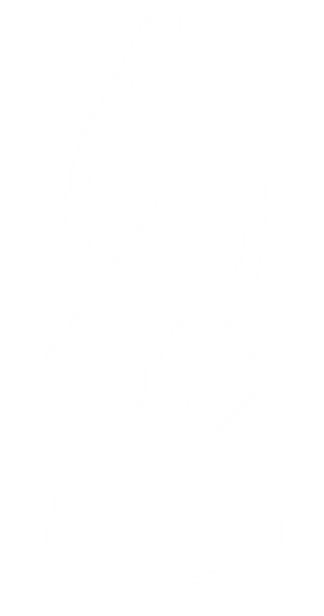 MEFAMEX AI Logo